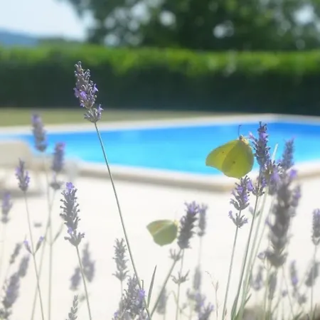 Family Friendly House With A Swimming Pool Jakovici, Istria - Sredisnja Istra - 27723 Tinjan
